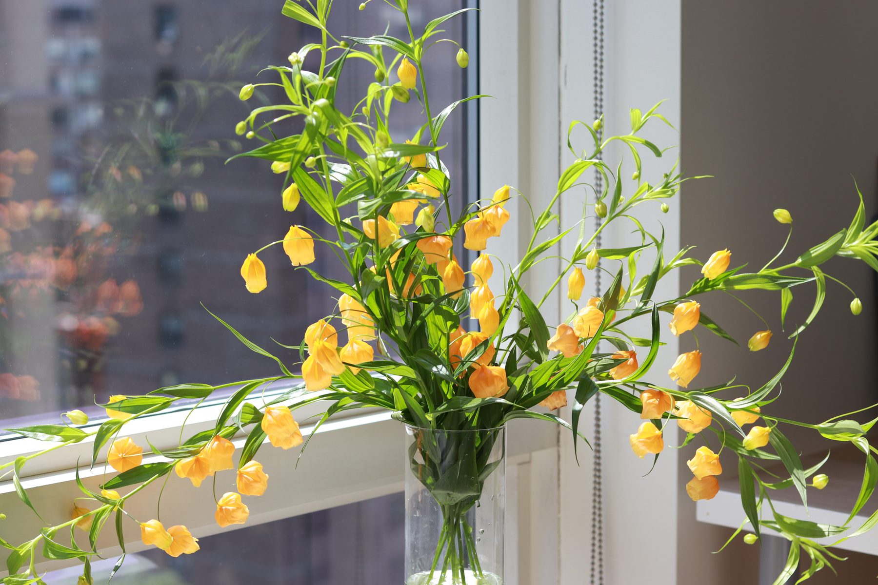 Golden meadow-style arrangement with trailing blooms in a glass cylinder