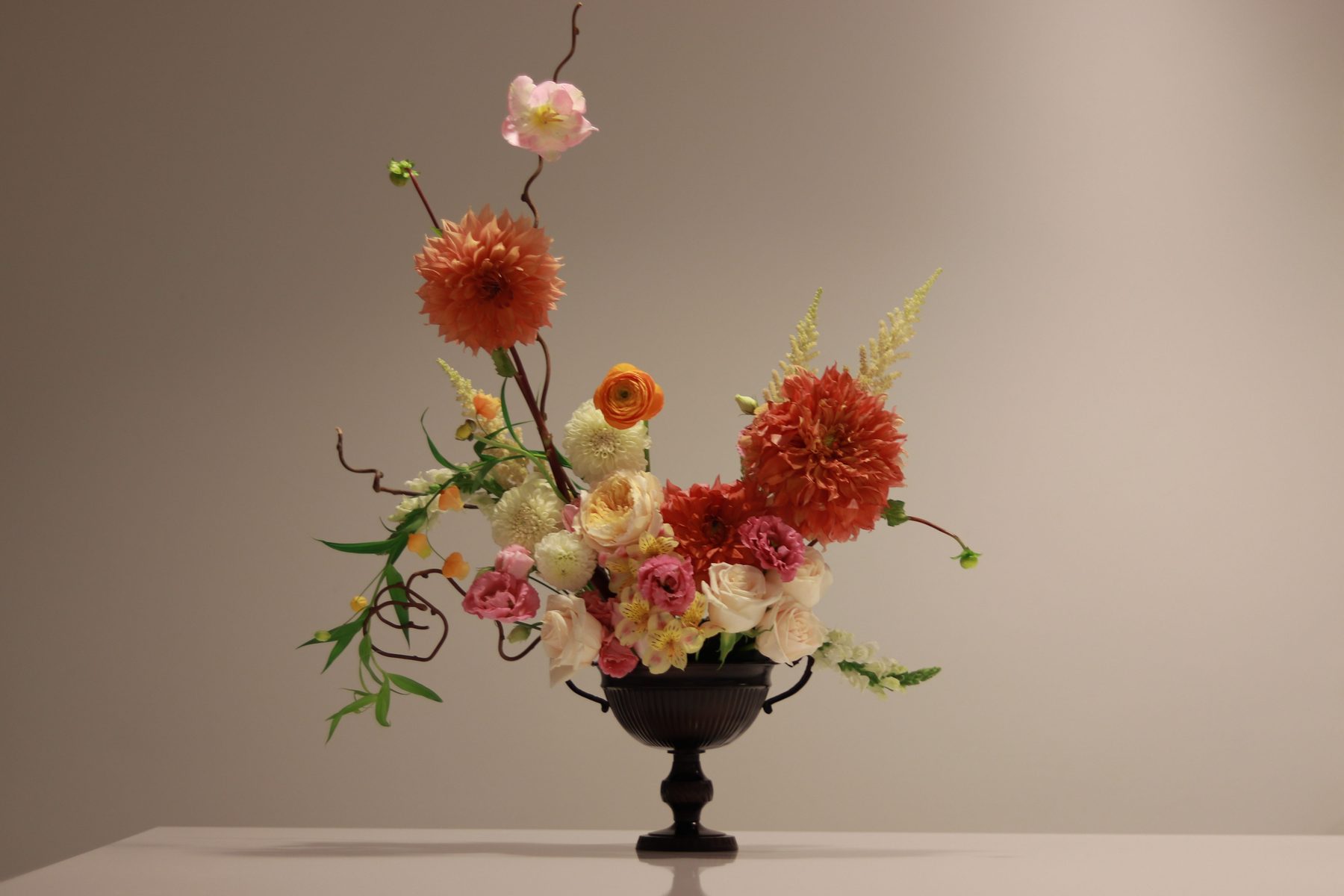 Sculptural dahlia arrangement with curly willow in a dark urn