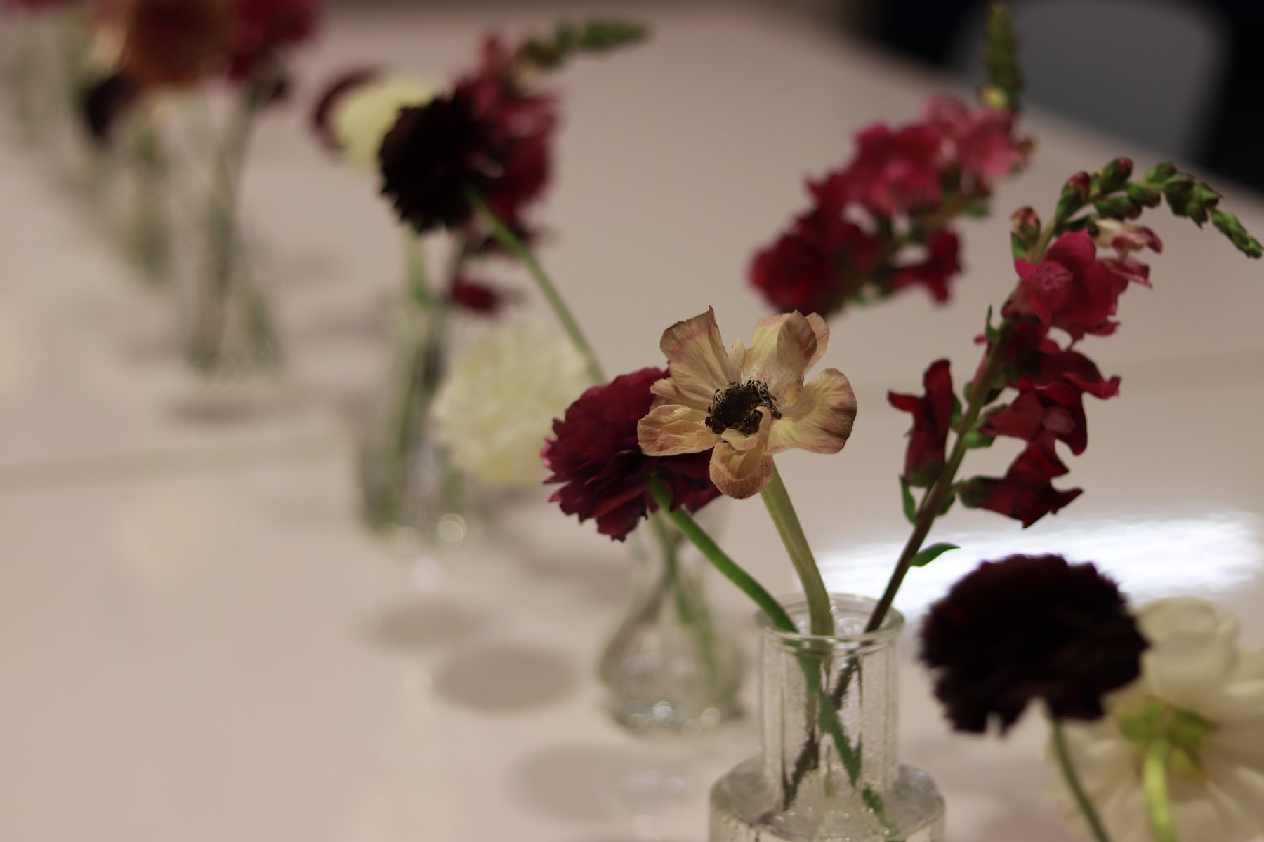 Close view of a burgundy carnation, cream ranunculus, and snapdragon in glass bud vases
