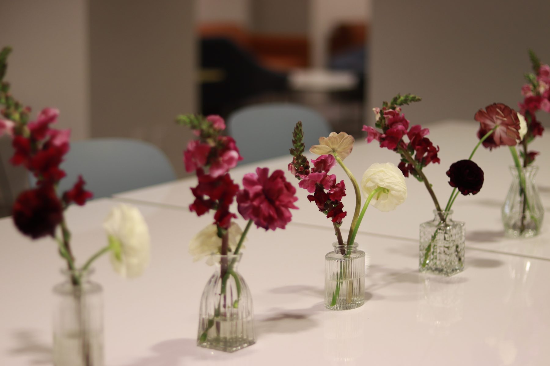 Row of small glass bud vases with burgundy snapdragon, carnation, and white ranunculus on a white table