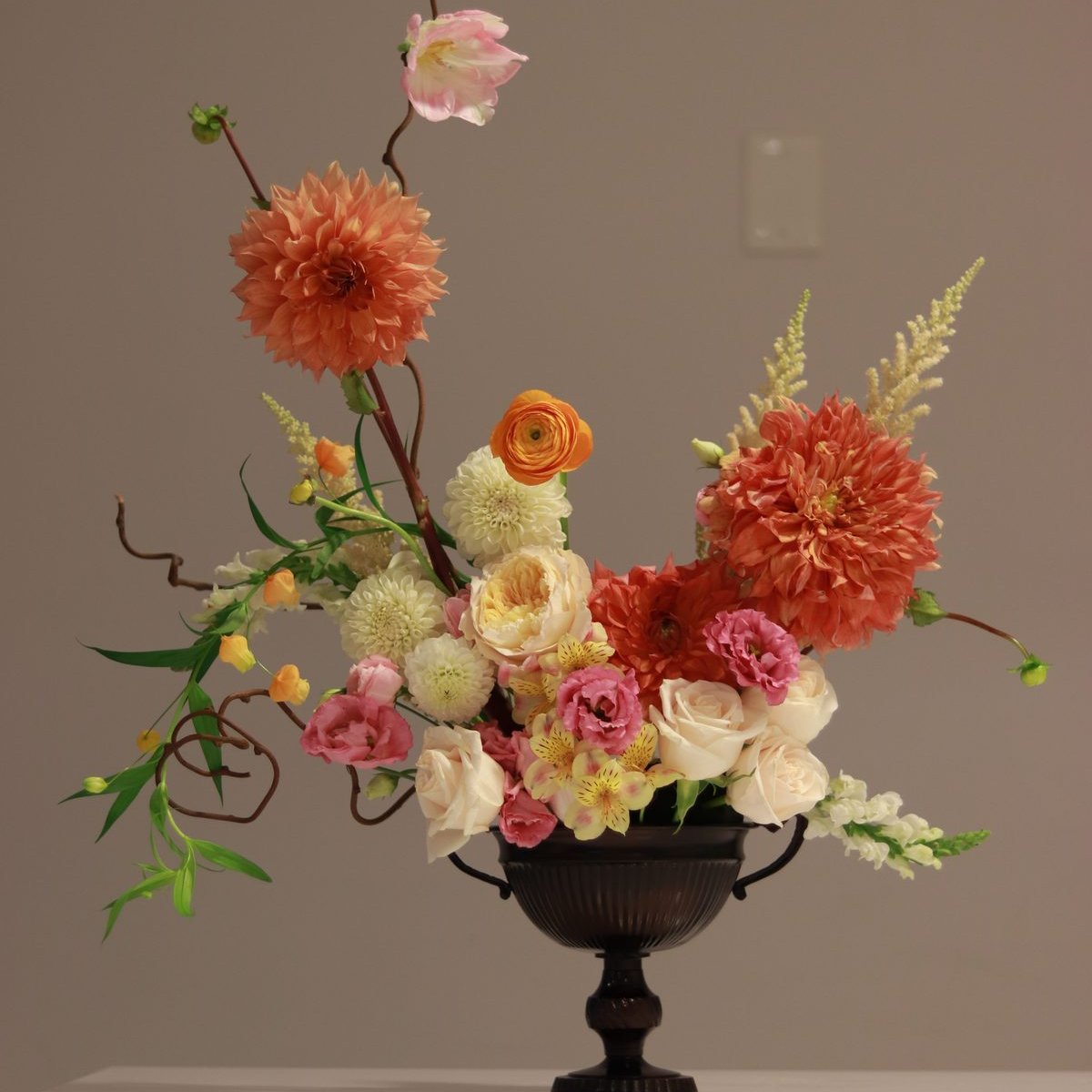 Sculptural dahlia, ranunculus, and rose arrangement with curly willow in a dark urn